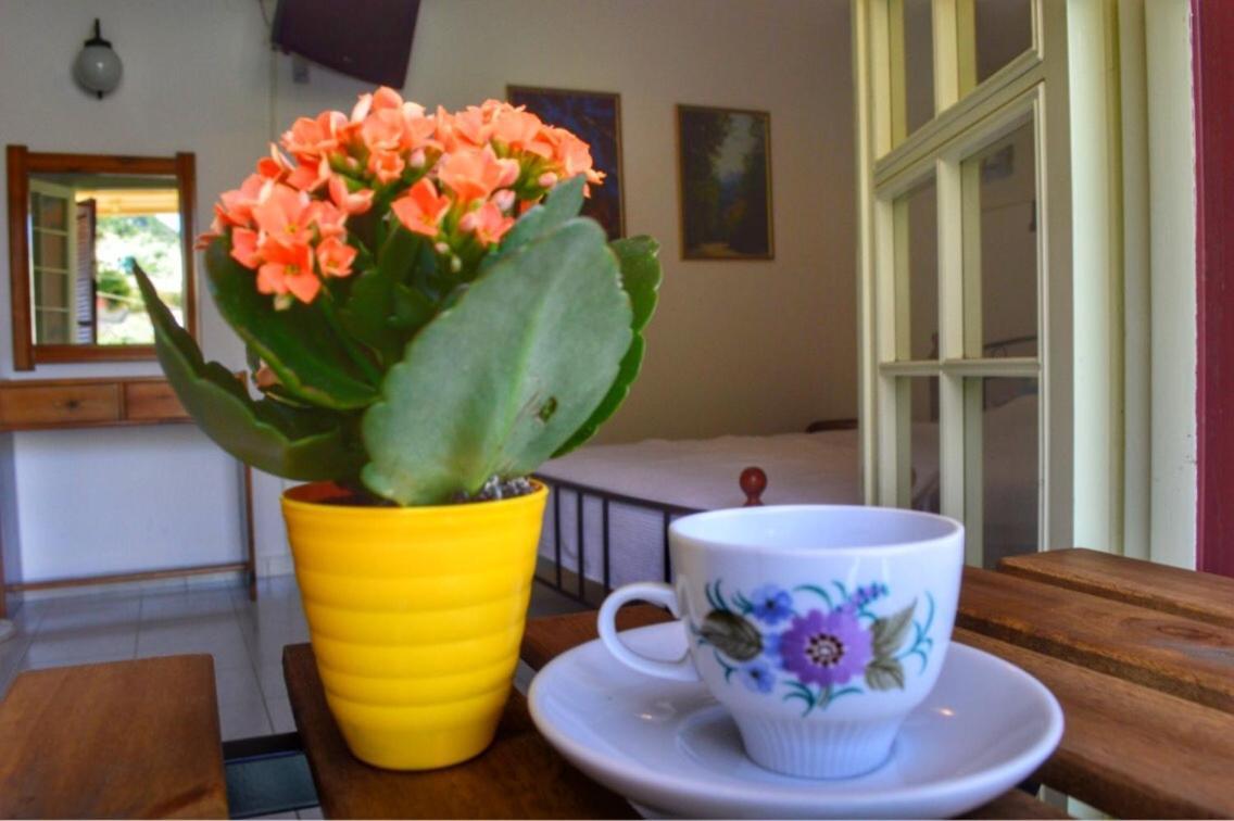 Camelia Aparthotel