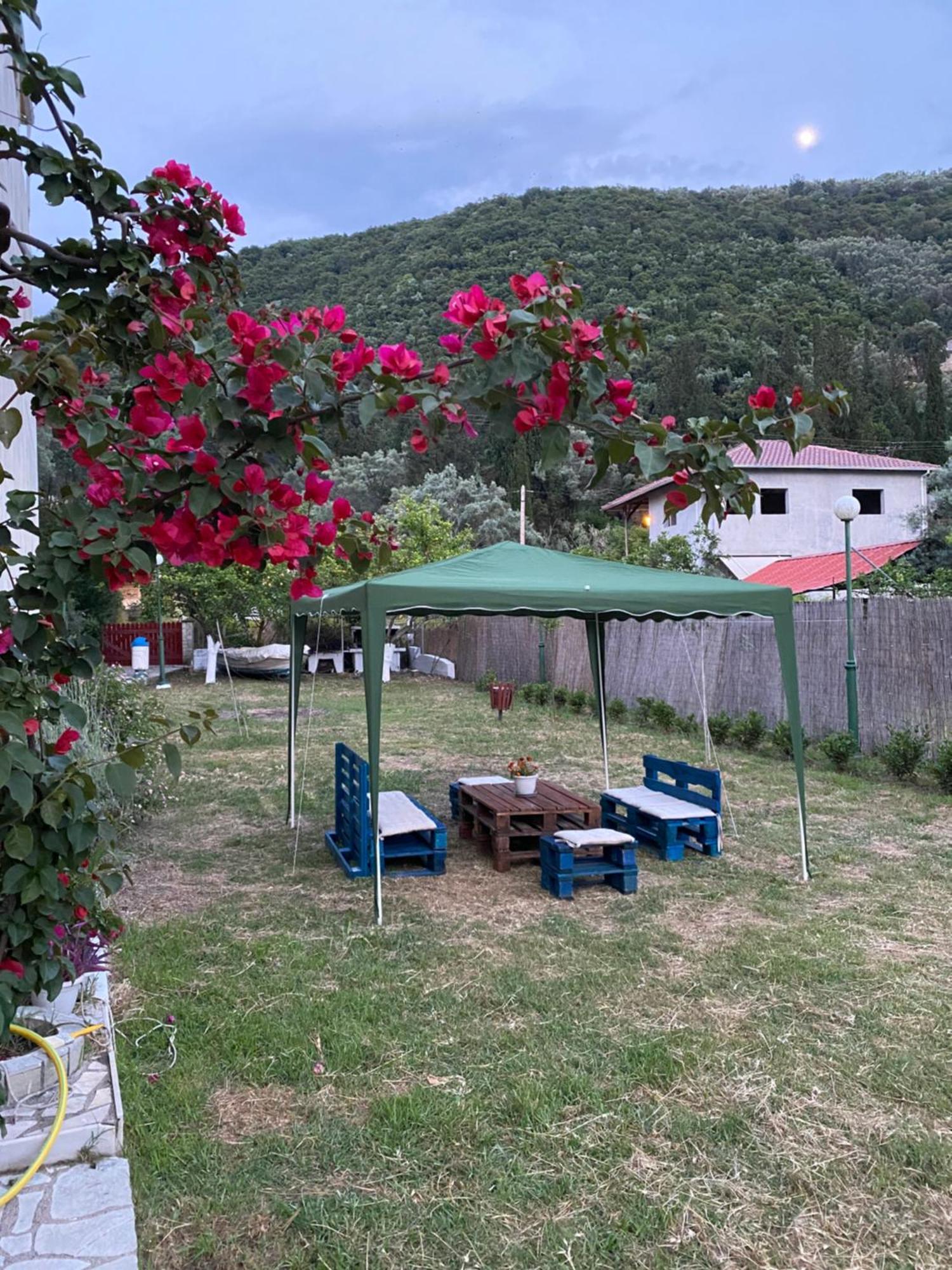 Camelia Aparthotel *